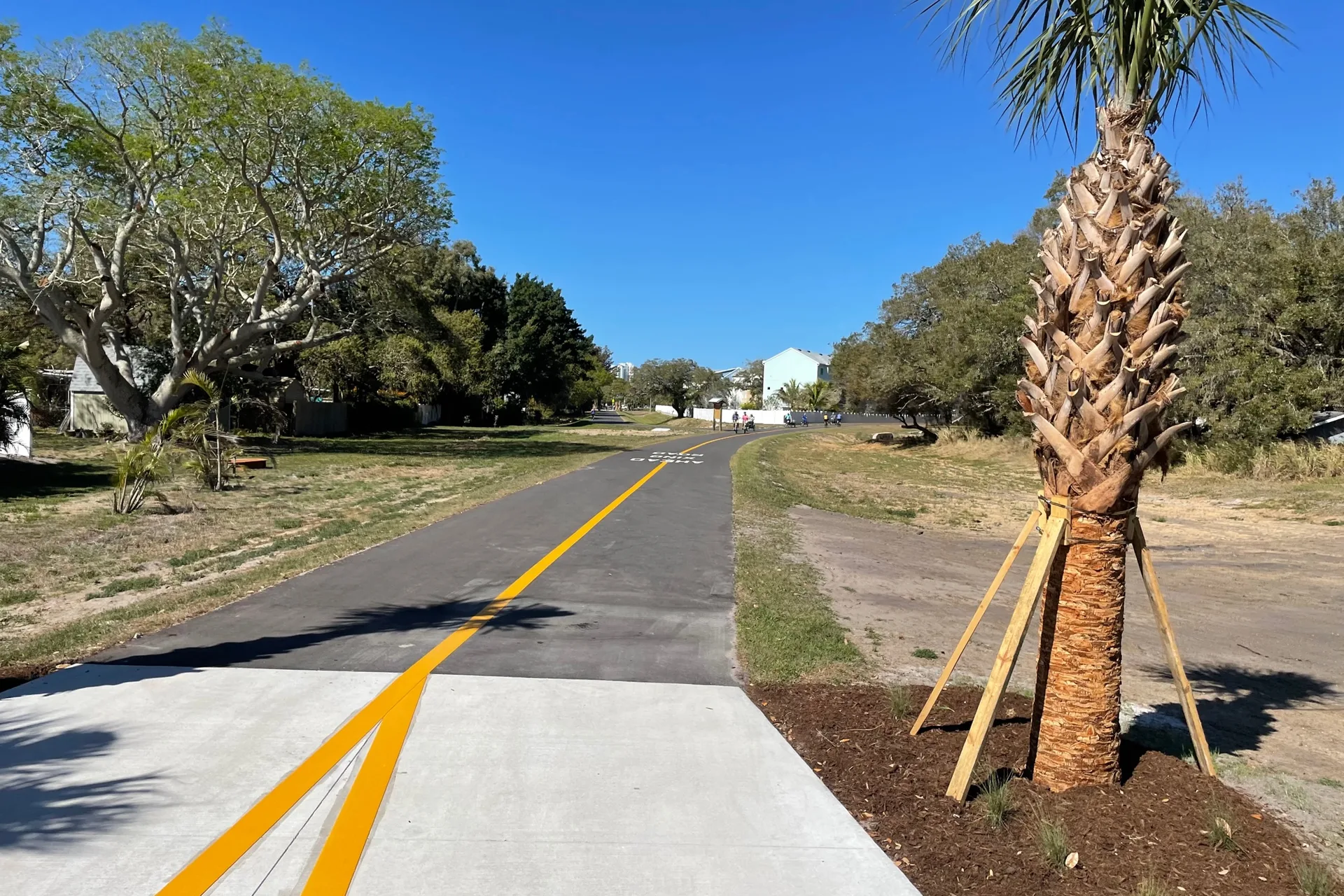 The tree-lined Legacy Trail in Sarasota County